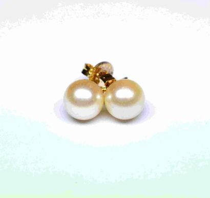null Paire de boucles d'oreille or jaune serties de 2 perles naturelles de couleur...
