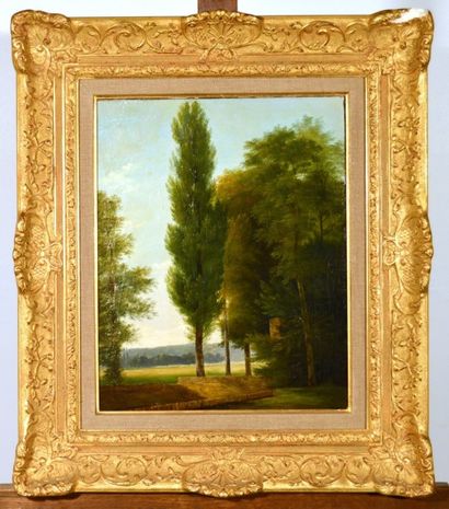 BERTIN François Edouard (1797-1871), BERTIN François Edouard (1797-1871), Paysage...
