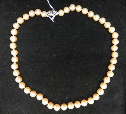 null Collier de perles orange, grosse taille, 46 cm, fermoir en argent.