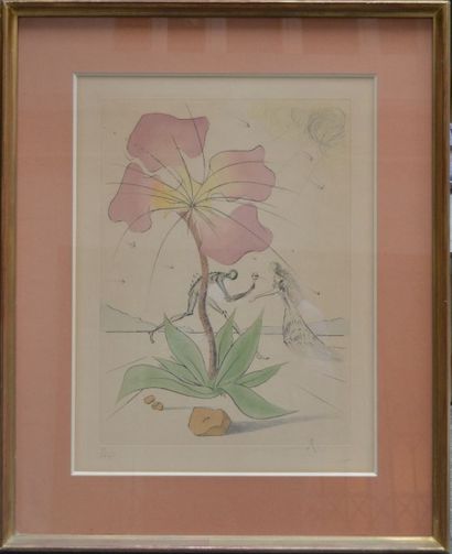 null Salvador DALI (1904-1989),

La mort et la fleur, 

Pointe sèche colorée, signé...