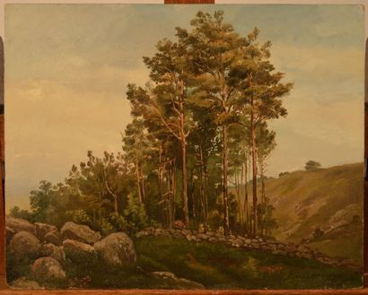 KUNZ Reinhard (1836-1906), KUNZ Reinhard (1836-1906), Les pins, huile sur carton,...
