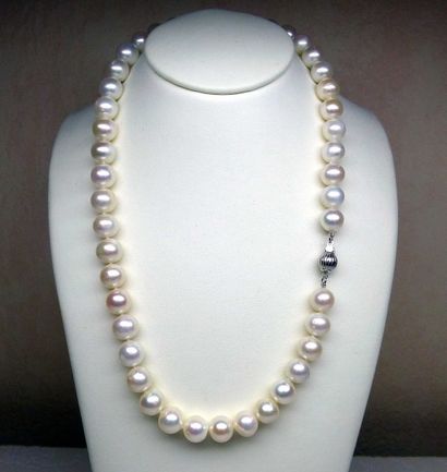 null Collier de perles de culture diamètre 9,5 mm. Long : 42 cm - fermoir argent...