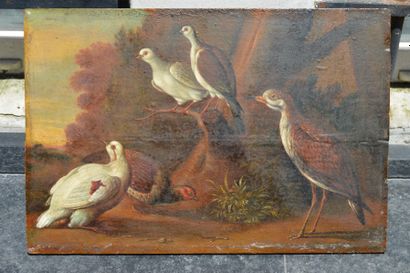 null Ecole ANGLAISE du XIXème siècle, Oiseaux dans un paysage, Panneau. 27 x 40 cm...