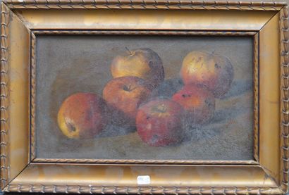 null Ecole FRANCAISE du XIXème, Pommes, huile sur carton, 20 x 34 cm.