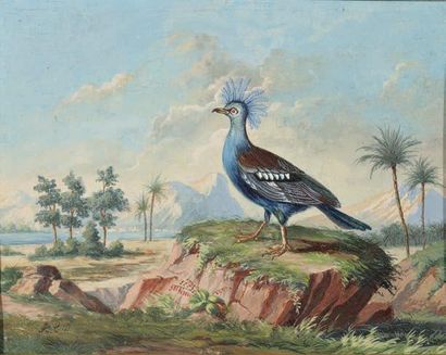 École Française du XVIIIe siècle Oiseau dans un paysage Gouache - 19 x 25,4 cm -...