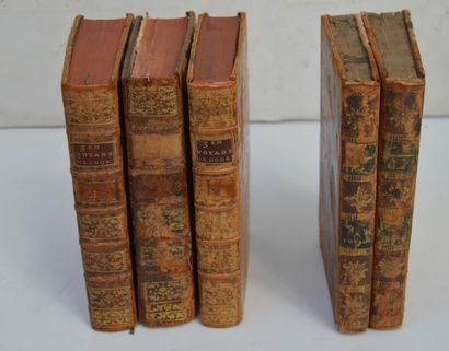null ENSEMBLE DE 5 volumes. Deux ouvrages intitulés Voyage dans l'hémisphère austral...