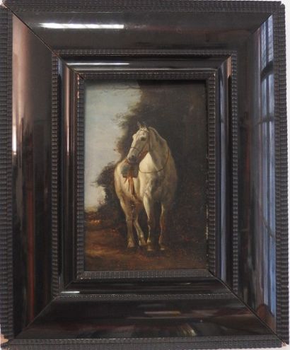 null Ecole FRANCAISE du XIX ème,

Cheval blanc,

Huile sur panneau.

32 x 21 cm....