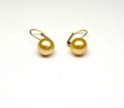 null Rare paire de boucles d'oreille or jaune ornée par 2 perles GOLD des mers du...