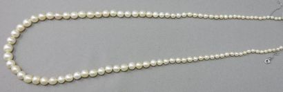null Collier de 95 Perles Fines en chute et une perle de culture, soit 96 perles...