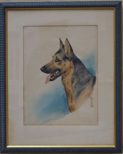 null Boris RIABOUCHINSKY dit RIAB (1882-1962), Tête de chien loup, aquarelle sur...
