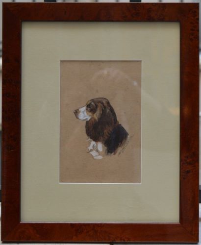 null Jacques CARTIER (1907-2001), Tête de chien, aquarelle. 32 x 25 cm.