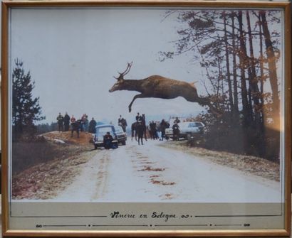 null Vénerie en Sologne, Le cerf sautant l'allée, reproduction photographique. 33...