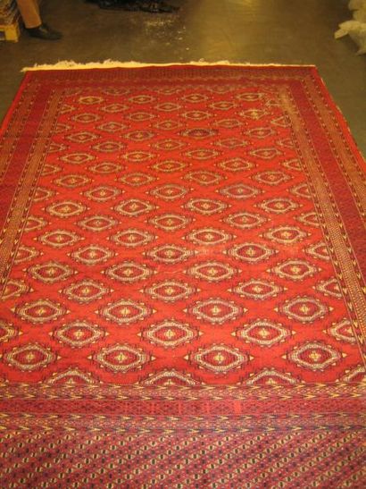 null Grand PAKISTAN décor bouhara, Iran vers 1965-1970. 311 x 200 cm. (accidents...