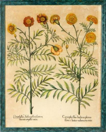 null Ecole FRANCAISE du XVIIIème, Fleurs, suite de huit gravures rehaussées. 52 x...