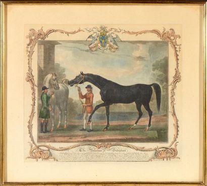 null Ecole ANGLAISE du XVIII ème, Chevaux et cavaliers, paire de gravures colorées....