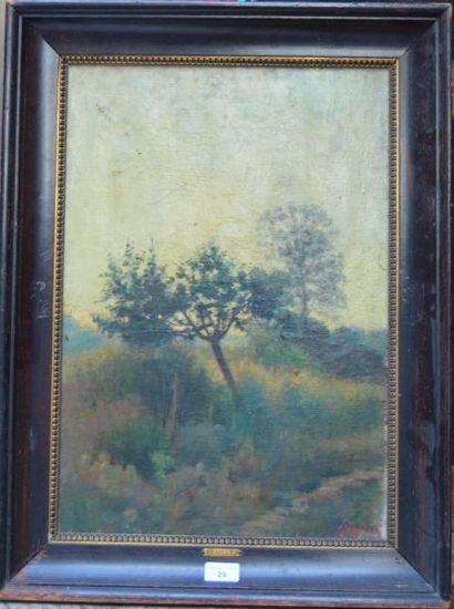 null SEAILLES, PAYSAGE A L'ARBRE, huile sur toile 55 x 38 cm.