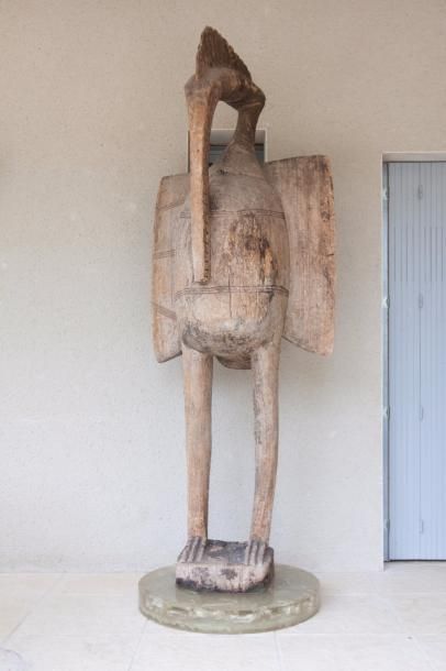 null GRAND CALAO en bois « de fromager » sculpté. Afrique, années 60. Haut.: 256...