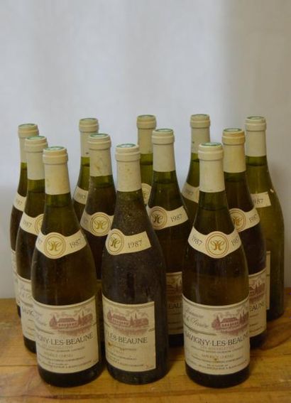 null 12 bouteilles SAVIGNY-LES-BEAUNE "Les Goudelettes", Maurice Chenu 1987