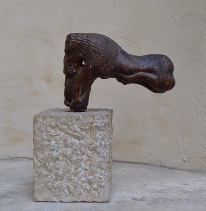null ELEMENT en bois sculpté (pommeau ou accotoir ?) figurant un lion. Travail A...