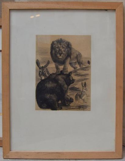 null D'après GUYOT, Ours Ane Lion et lapin, crayon. 21 x 15 cm