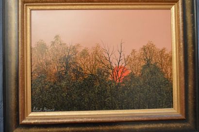 null Hubert AICARDI (1922-1991), soleil couchant sur la forêt, huile sur toile signée....
