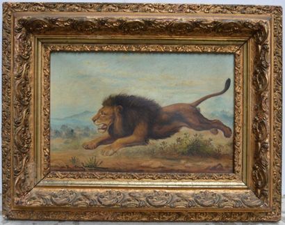 null Ecole FRANCAISE d'après Delacroix, Lion bondissant, huile sur toile. 22 x 34...