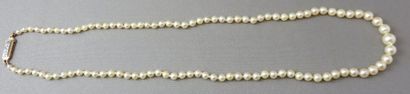 null Collier de Perles de Culture en chute Ø des perles: de 2,8 à 7,1 mm environ....