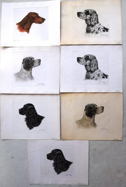 null Georges Frederic RÔTIG (1873-1961), Chiens, suite de 7 estampes colorées; signées....