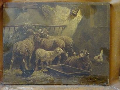 null Ecole FLAMANDE du XIX ème, Moutons dans la bergerie, Huile sur panneau signée...