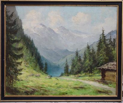 null Willi EPLINIUS (1884-1966), Lac de Montagne, huile sur toile signée en bas à...