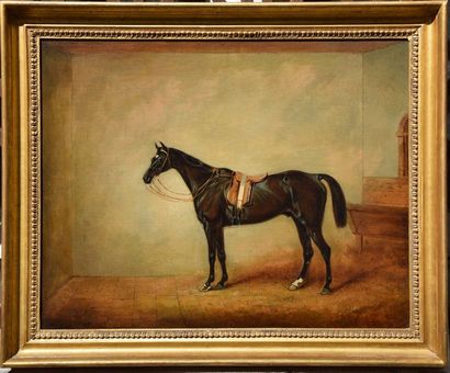 null Claude L. FERNELEY (1822-1891), Brown Hunter in a stable, huile sur toile. 55...