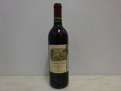 null 1 bouteille CARRUADES-DE-LAFITTE, Pauillac 1989 
