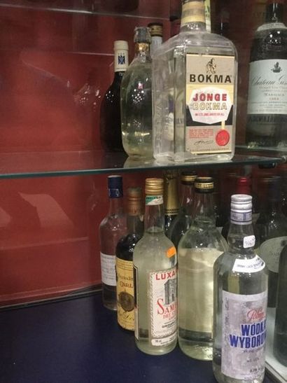 null Lot de 13 bouteilles : Alcool blanc et liqueur (Vodka, Maraschino, Crème de...