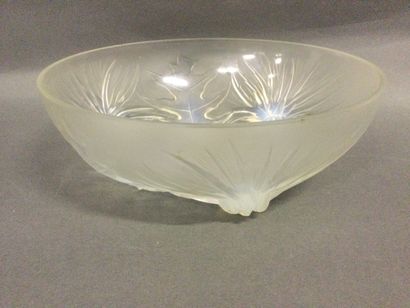 null VERLYS, coupe en verre opalescent à décor de chardons, diam 22 cm