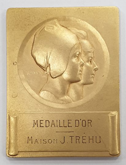 null MEDAILLE - Exposition française d'Amsterdam 1922, bronze doré, dim. 6,3 x 5...