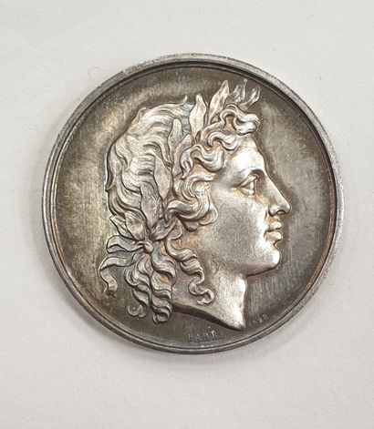 null MEDAILLE en argent "ATHENAEUM LUGDUNENSE RESTITUTUM MDCC", 1828, poids : 15,6...