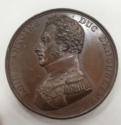null MEDAILLE - Duc d'Angoulême, cuivre, 1815, diam. 41 mm, Poids : 35,8 g