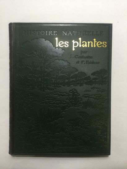 null [BOTANIQUE] - J. COSTANTIN et F. FAIDEAU, Les plantes, histoire naturelle illustrée,...
