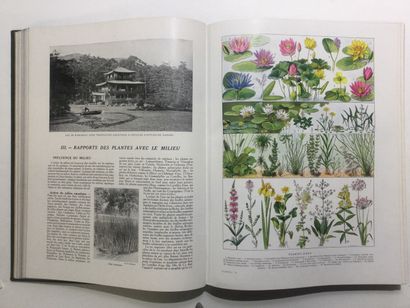 null [BOTANIQUE] - J. COSTANTIN et F. FAIDEAU, Les plantes, histoire naturelle illustrée,...