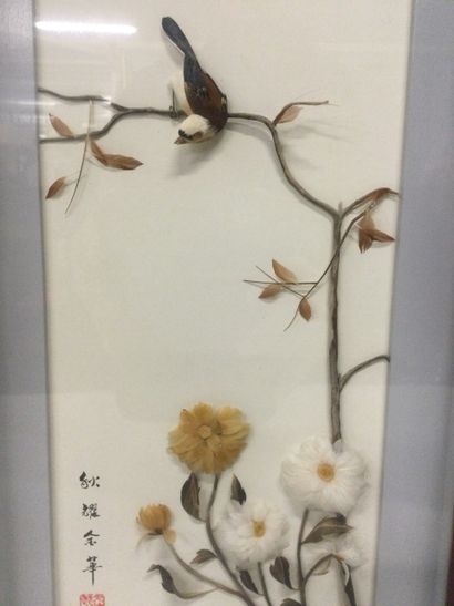 null Asian work, Lot of 5 compositions of feathers under glass frame appearing of...