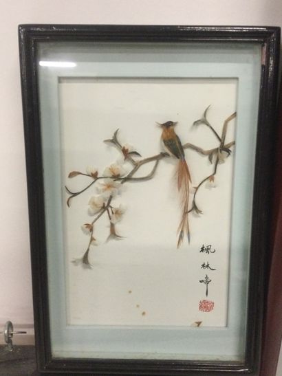 null Asian work, Lot of 5 compositions of feathers under glass frame appearing of...