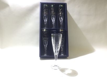 null 6 champagne flutes CRYSTAL BOHEMIA