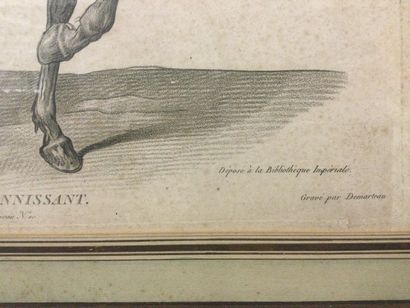 null Gilles DEMARTEAU (1722-1776) d'aprè VERNET, Cheval piaffant et hennissant, gravure,...