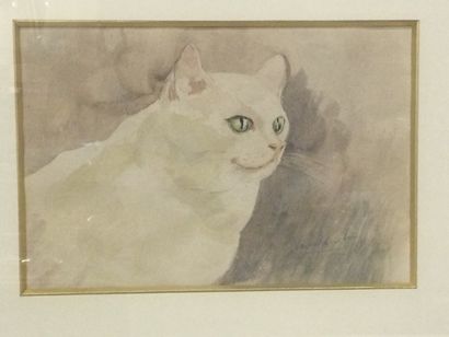 null Léon DANCHIN (1887-1938) Attribué à, Le chat blanc, aquarelle, SBG, dim. 20...