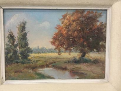 null Artiste du XXème, Paysage de bord de rivière, Huile sur isorel, dim. 28 x 41...
