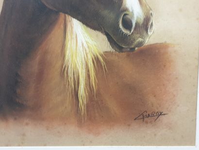 null Claude CHAROY (1931-2020), Portrait of a stallion, Pastel drawing, SBD, size...