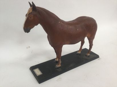 null School horse in resin