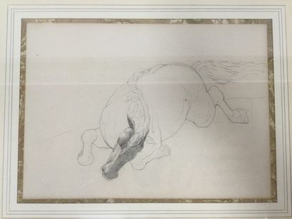 null Two pencil drawings of horses lying on the ground, size 41 x 33 cm