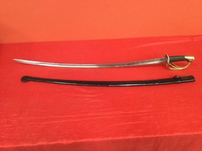 null Sword 1822 with scabbard