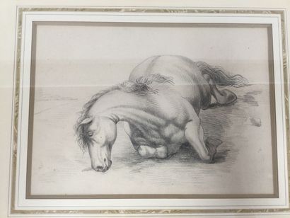 null Deux dessins au crayon représentants des chevaux couchés au sol, Dim. 41 x 33...
